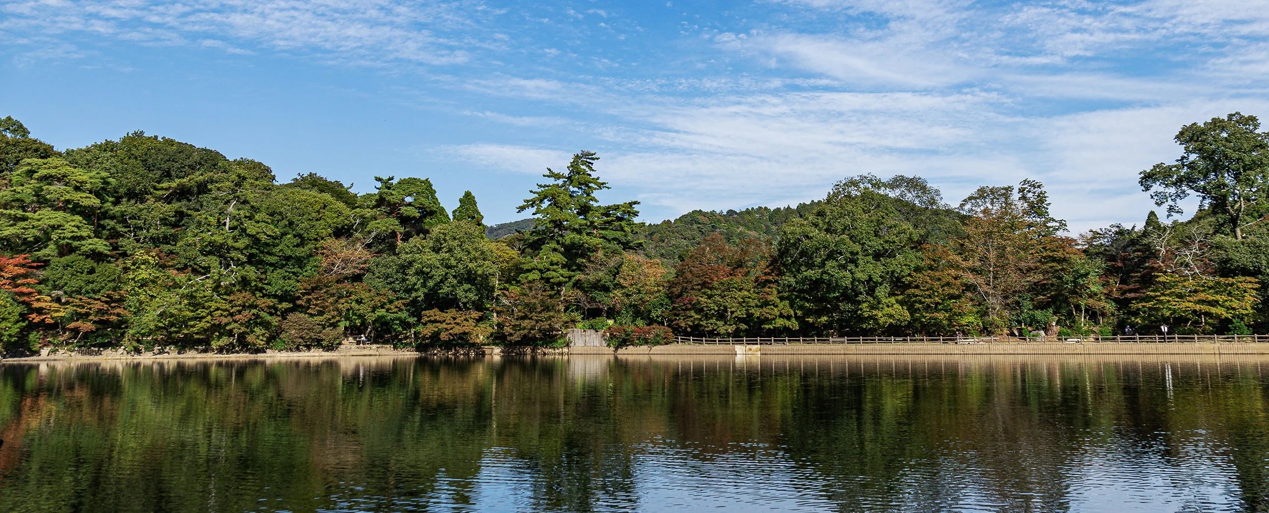 🏞️ 후타타비 공원 (再度公園) 이미지 7